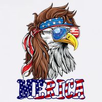 Merica Mullet Eagle Independence Day Ladies Long Sleeve Shirt