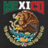Mexico Mexican Flag Eagle And Snake Garment-Dyed Heavyweight T-Shirt