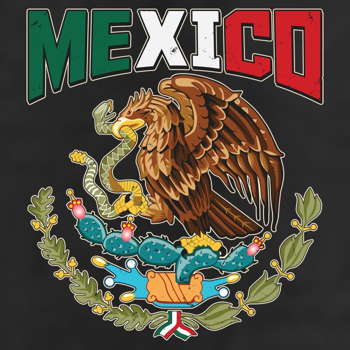 Mexico Mexican Flag Eagle And Snake Garment-Dyed Heavyweight T-Shirt