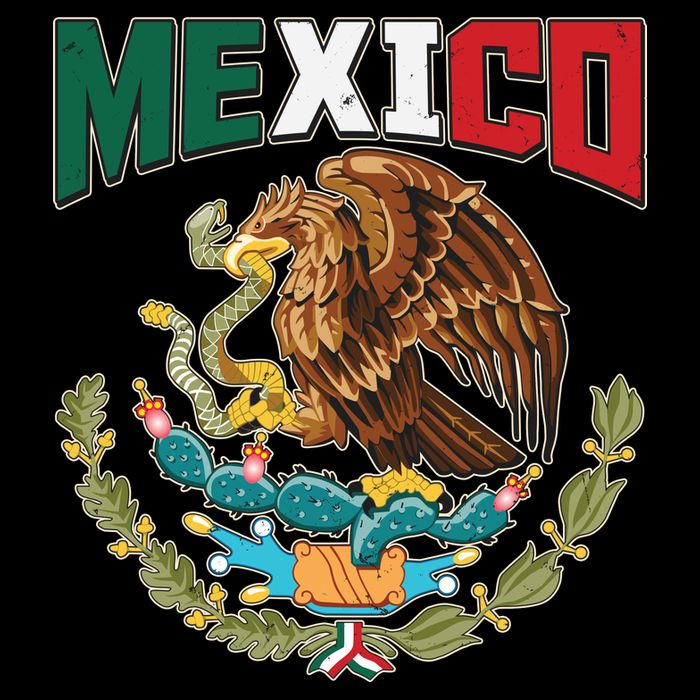 Mexico Mexican Flag Eagle And Snake Yupoong Adult 5-Panel Trucker Hat