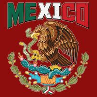Mexico Mexican Flag Eagle And Snake Cooling Performance Crew T-Shirt