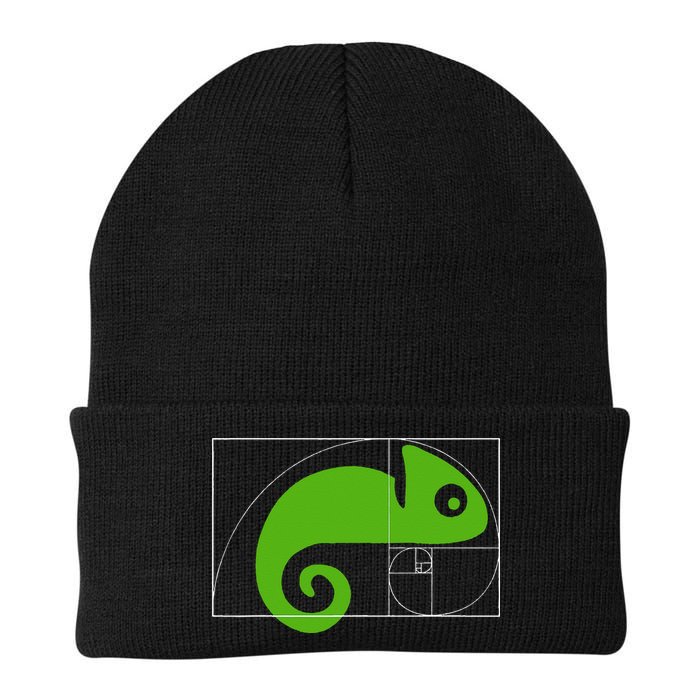 Math Mathematics Fibonacci Sequence Chameleon Golden Ratio Knit Cap Winter Beanie