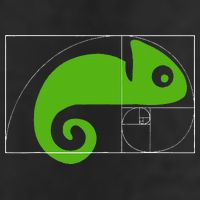 Math Mathematics Fibonacci Sequence Chameleon Golden Ratio Knit Cap Winter Beanie
