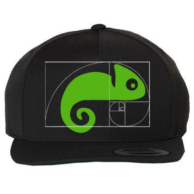 Math Mathematics Fibonacci Sequence Chameleon Golden Ratio Wool Snapback Cap
