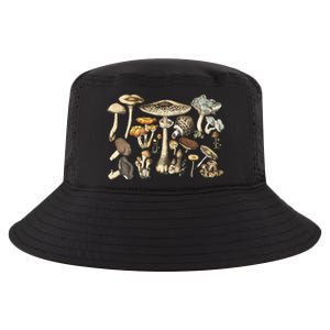 Mushroom Mycology Fungi Foraging Mushroom Whisperer Cool Comfort Performance Bucket Hat