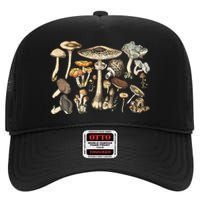 Mushroom Mycology Fungi Foraging Mushroom Whisperer High Crown Mesh Back Trucker Hat