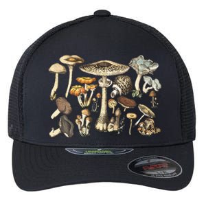 Mushroom Mycology Fungi Foraging Mushroom Whisperer Flexfit Unipanel Trucker Cap