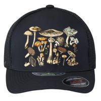 Mushroom Mycology Fungi Foraging Mushroom Whisperer Flexfit Unipanel Trucker Cap