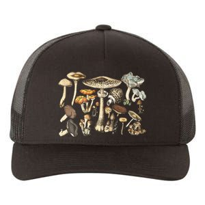 Mushroom Mycology Fungi Foraging Mushroom Whisperer Yupoong Adult 5-Panel Trucker Hat