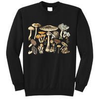 Mushroom Mycology Fungi Foraging Mushroom Whisperer Sweatshirt