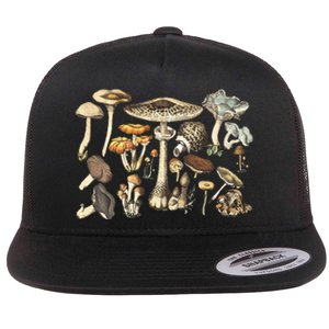 Mushroom Mycology Fungi Foraging Mushroom Whisperer Flat Bill Trucker Hat