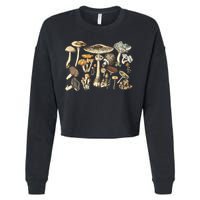 Mushroom Mycology Fungi Foraging Mushroom Whisperer Cropped Pullover Crew