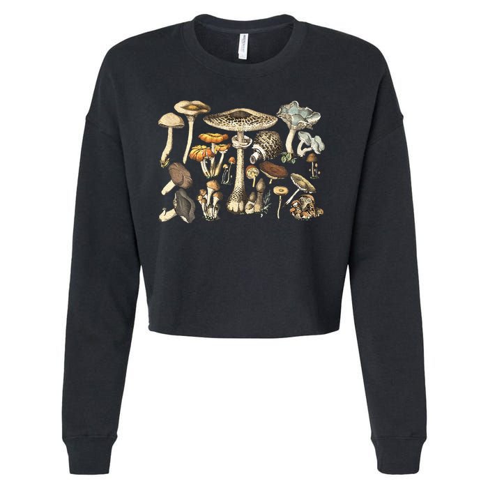 Mushroom Mycology Fungi Foraging Mushroom Whisperer Cropped Pullover Crew