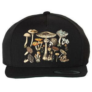 Mushroom Mycology Fungi Foraging Mushroom Whisperer Wool Snapback Cap