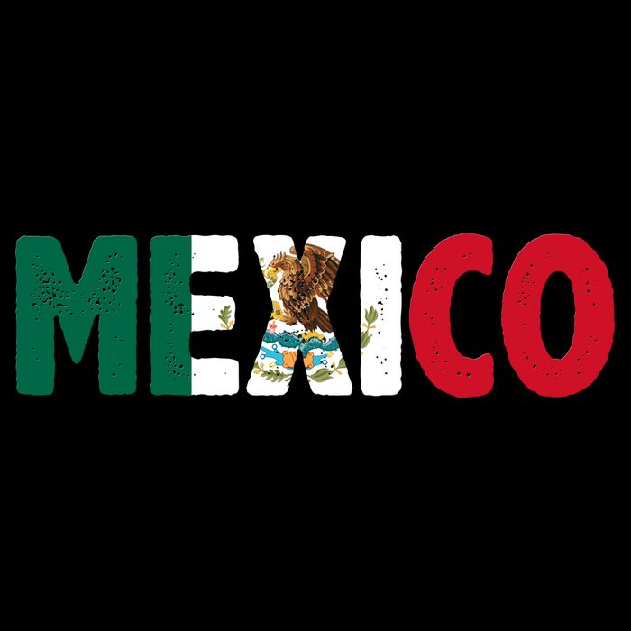 Mexico Mexican Flag Vintage Pride Bag