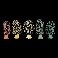 Morchel Mushroom Forest Lace Morchel Mushroom Collector Gift Drawstring Bag