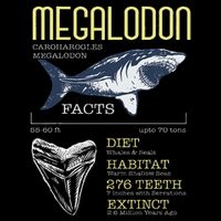 Megalodon Meg Facts Funny Shark Lover Wool Snapback Cap