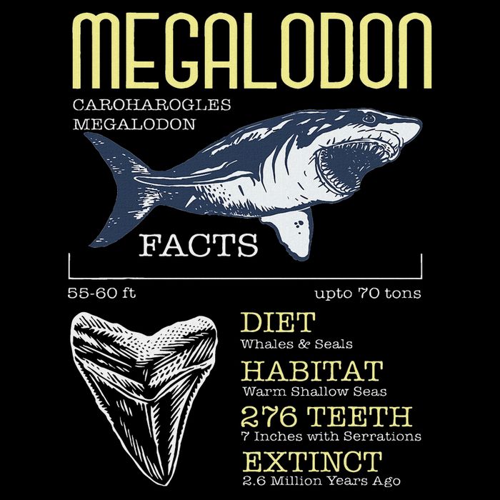 Megalodon Meg Facts Funny Shark Lover Wool Snapback Cap