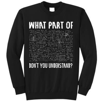 Mathematics Math Geek University Teacher Ironic Joke Sweatshirt