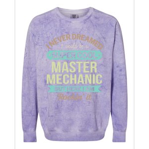 Master Mechanic Gift Funny Gift Colorblast Crewneck Sweatshirt