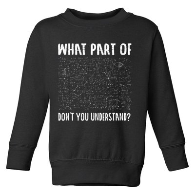 Mathematics Math Geek University Teacher Ironic Joke Toddler Sweatshirt