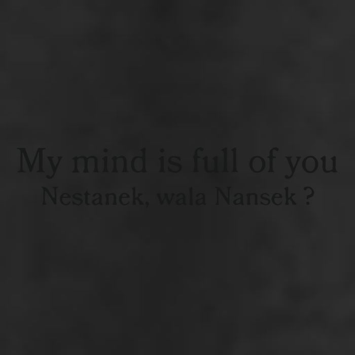 My Mind Is Full Of You Nestanek Wala Nansek 25L Jumbo Tote