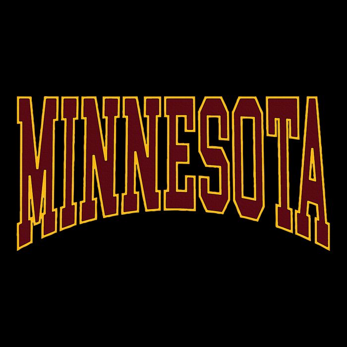 Minnesota 16 in Basic Backpack