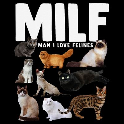 MILF Man I Love Felines Funny Cats T-Shirt