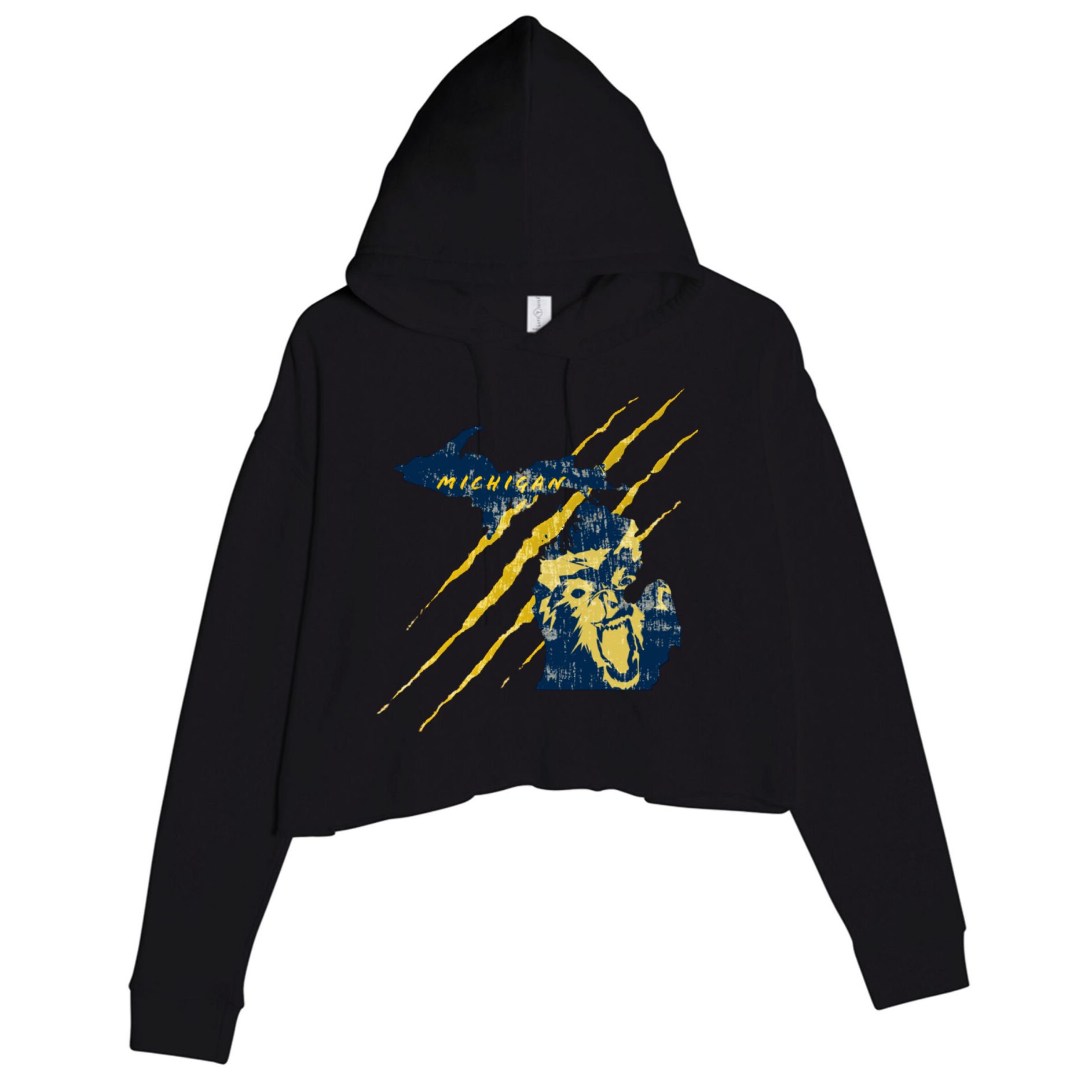 Michigan Crop Fleece Hoodie