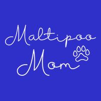 Maltipoo Mom Malitpoo Momma Maltipoo Mama Gift Toddler T-Shirt