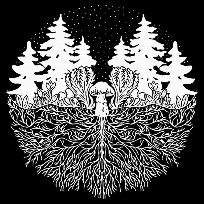 Mycelium Mushroom Cropped Pullover Crew