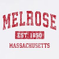 Melrose Massachusetts Ma Vintage Sports Toddler T-Shirt