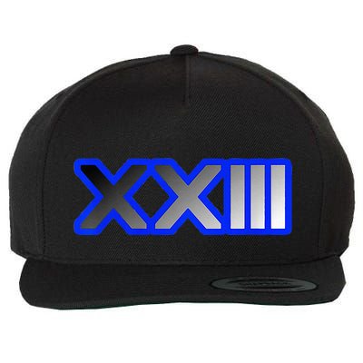 Money Motivated Wool Snapback Cap