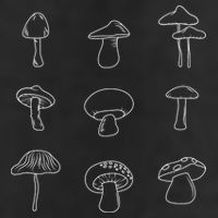 Mushroom Mycology Mushroom Whisperer Fungi Foraging Adult Drive Performance Visor