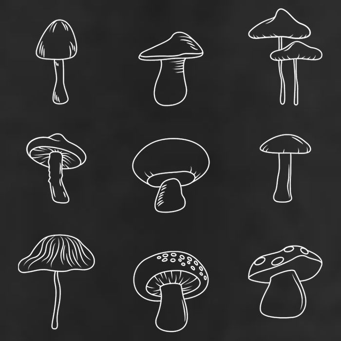 Mushroom Mycology Mushroom Whisperer Fungi Foraging Adult Drive Performance Visor