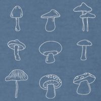 Mushroom Mycology Mushroom Whisperer Fungi Foraging Garment-Dyed Sweatshirt