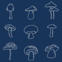 Mushroom Mycology Mushroom Whisperer Fungi Foraging 7-Panel Snapback Hat