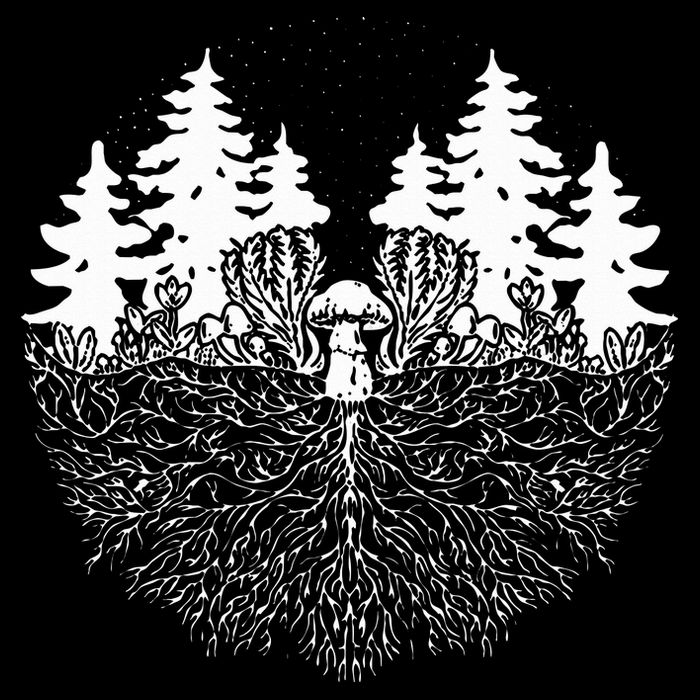 Mycelium Mushroom Cropped Pullover Crew