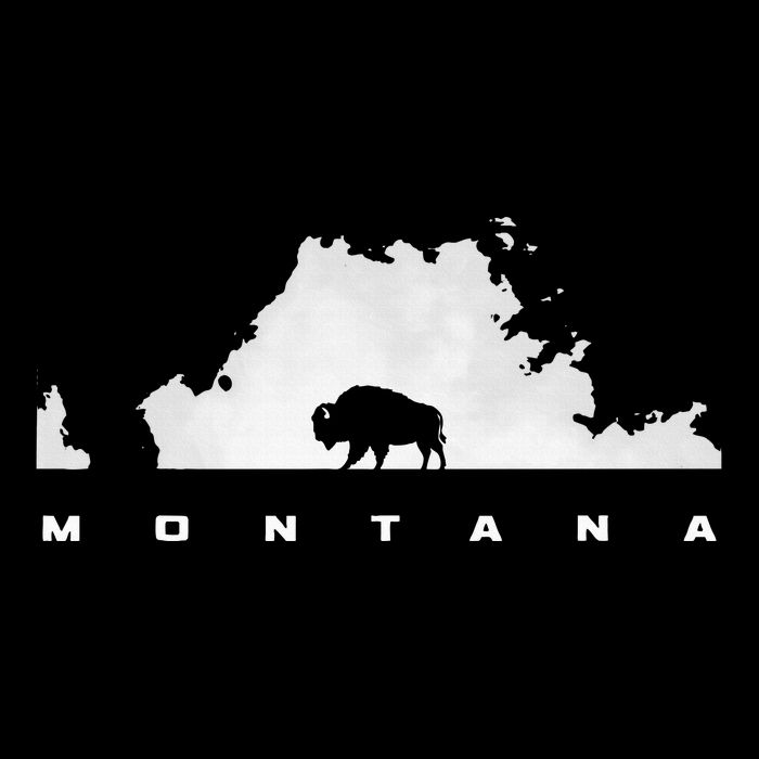 Montana 7-Panel Snapback Hat