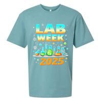 Mystery Machine Of Diagnostics Lab Week 2025 Med Lab Tech Gift Sueded Cloud Jersey T-Shirt