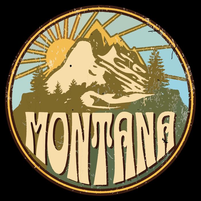 Montana Youth Performance Sprint T-Shirt