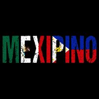Mexipino Mexico Philippines Flag Ancestery Filipino Mexican 16 in Basic Backpack