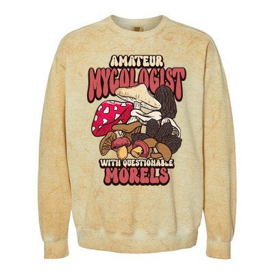 Morels Mushroom Picker Mushroom Farmer Mushroom Colorblast Crewneck Sweatshirt