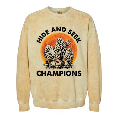 Morels Mushroom Red Moon Hide And Seek Champion Gift Colorblast Crewneck Sweatshirt