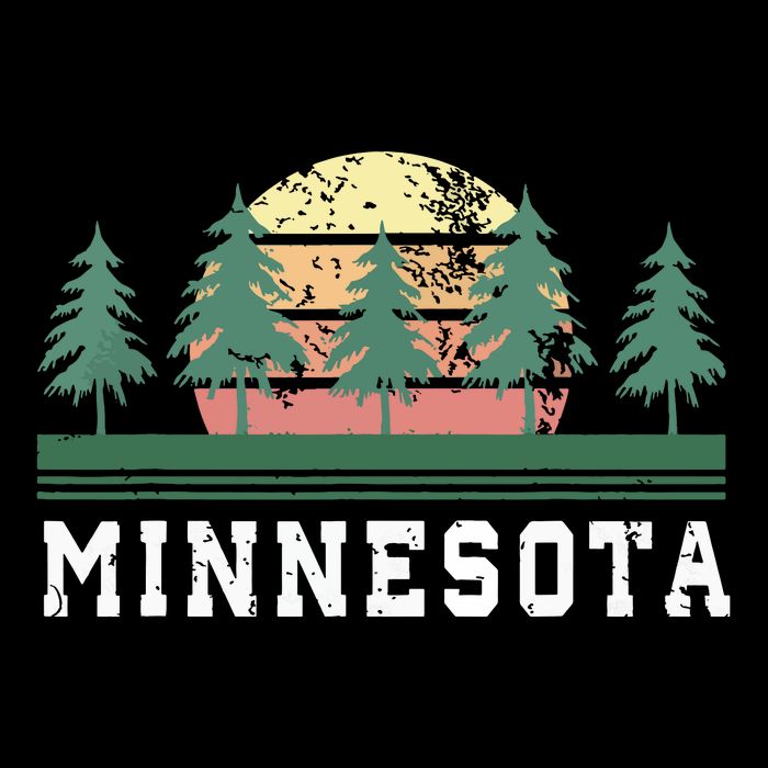 Minnesota Mn Retro Vintage Gift Kids T-Shirt
