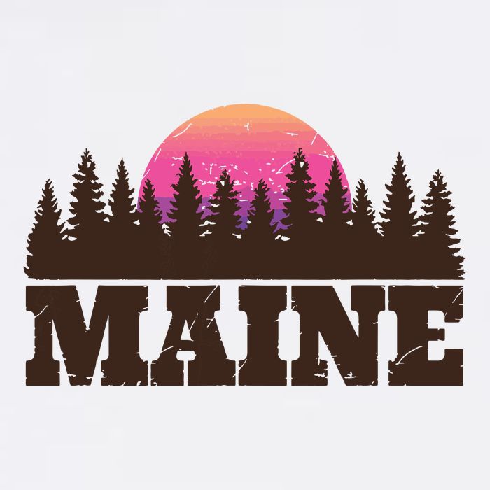 Maine Mn Retro Vintage Gift Women Womens T-Shirt