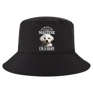 Maltese Mom Said IM A Baby Funny Maltese Dog Cool Comfort Performance Bucket Hat