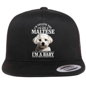 Maltese Mom Said IM A Baby Funny Maltese Dog Flat Bill Trucker Hat