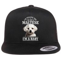 Maltese Mom Said IM A Baby Funny Maltese Dog Flat Bill Trucker Hat