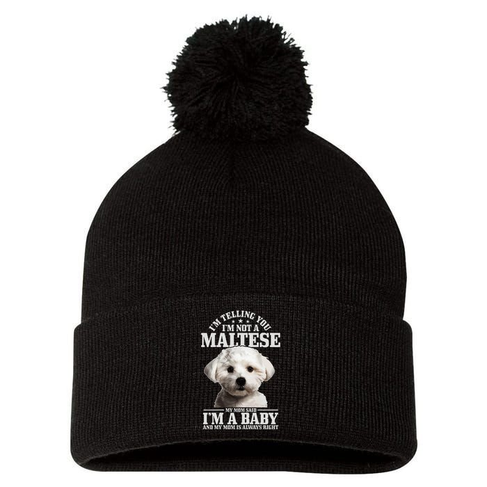 Maltese Mom Said IM A Baby Funny Maltese Dog Pom Pom 12in Knit Beanie